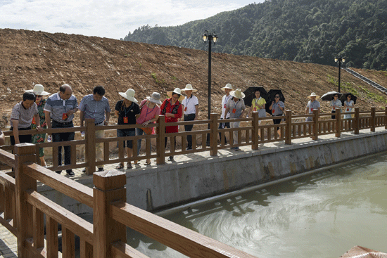 县政协开展城乡环境综合整治工作视察活动