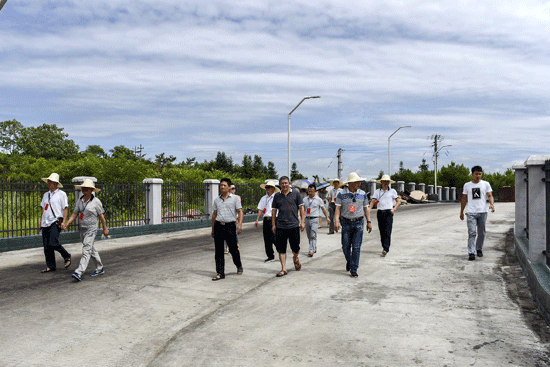 县政协开展城乡环境综合整治工作视察活动