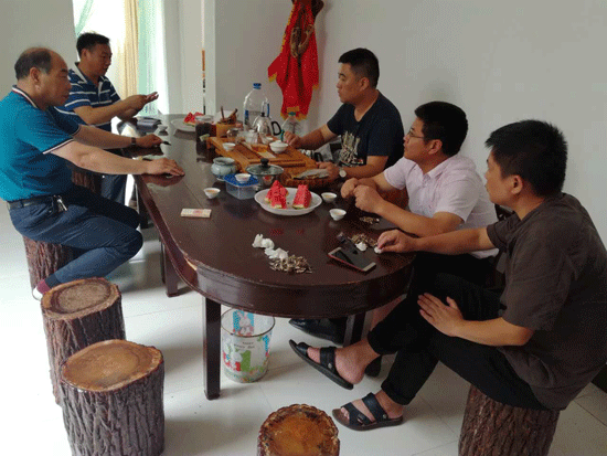 县政协组织开展茶产业相关重点提案督办