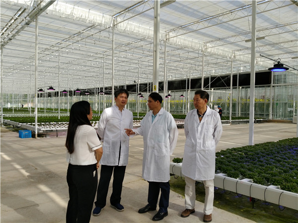 市政协黄健平主席到光泽调研指导工作